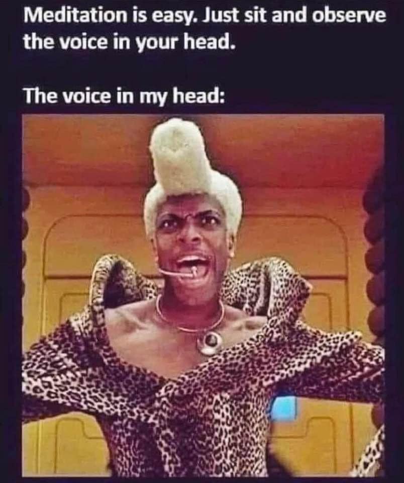 This meme is a humorous take on the concept of meditation. The image is of a woman with a shocked expression, and the text above it reads "Meditation is easy. Just sit and observe the voice in your head." The text below it says "The voice in my head: [image of the woman with a shocked expression, captioned 'I'M SUPPOSED TO BE QUIET']".